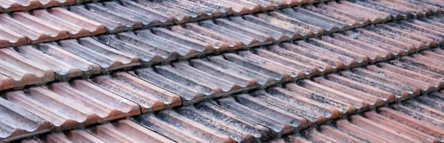 Roof Maintenance